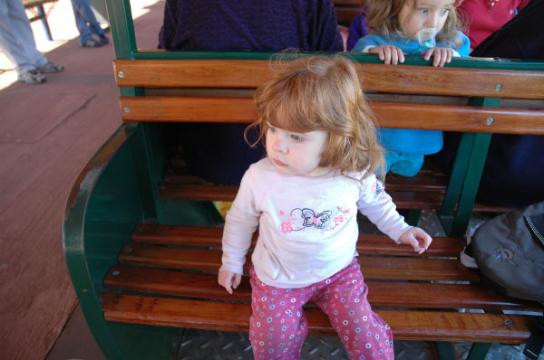 DSC_5267