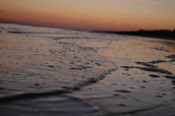 Picture 424