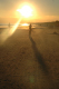 Picture 200