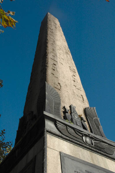 DSC_1800