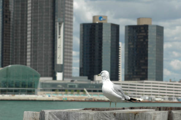 DSC_1275