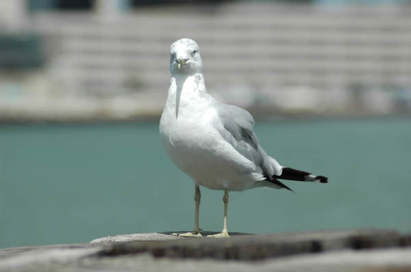 DSC_1276