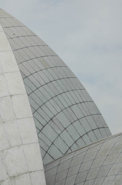 DSC_6461