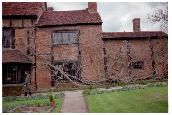 image20