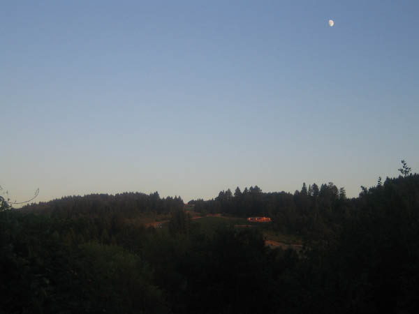 IMG_2837